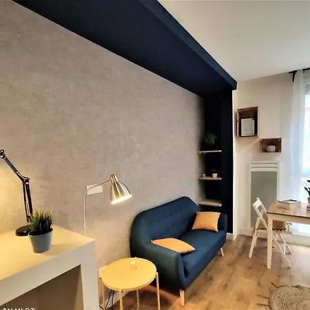 Appartement Le Palais Bleu - Hypercentre - Netflix Toulouse