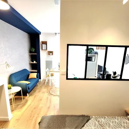 Appartement Le Palais Bleu - Hypercentre - Netflix Toulouse