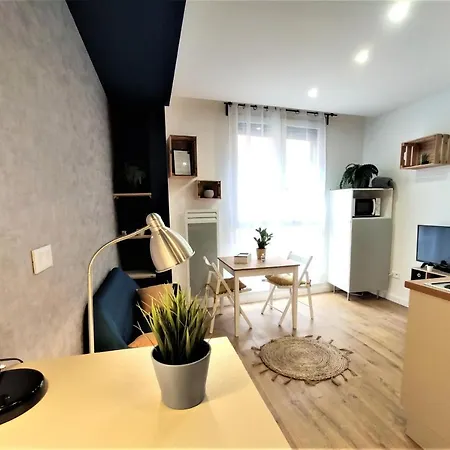 Appartement Le Palais Bleu - Hypercentre - Netflix Toulouse